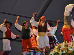 Festival de Folkore en Mula